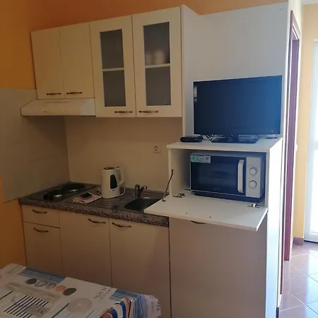 Apartment Golomeic *